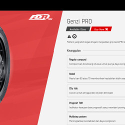 BAN FDR GENZI PRO 100/80-14