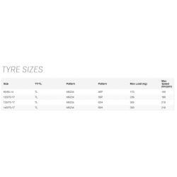 BAN MAXXIS EXTRAMAXX 120/70-17