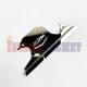 COVER LEHER RADIATOR ARM VARIO150