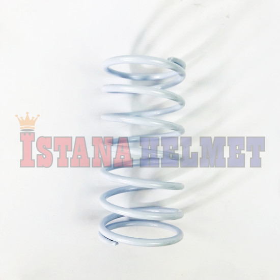 AEROX CLUTCH SPRING DAYTONA 1000 (4805)